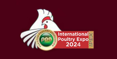 international-poultry
